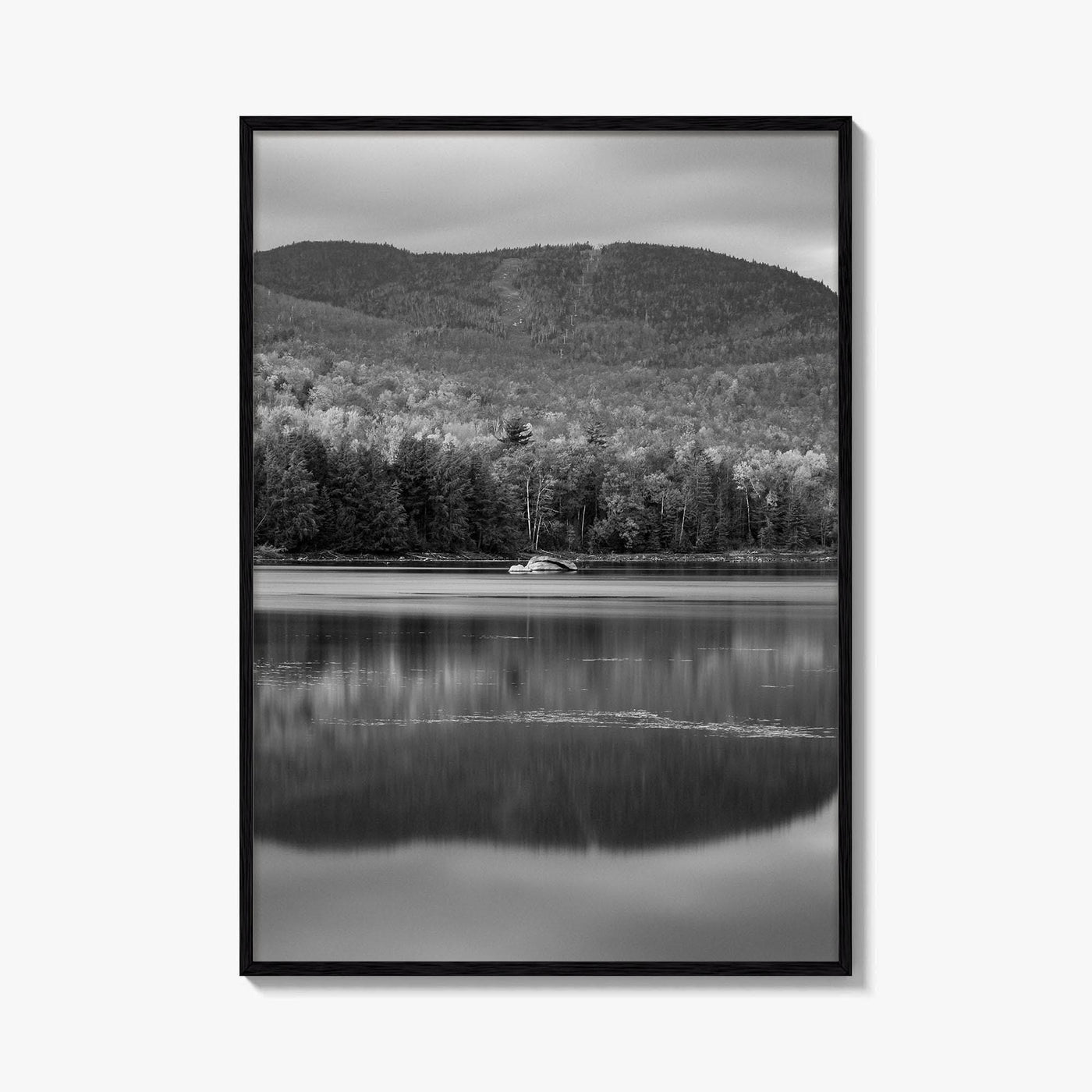 Loon Lake Black and White Fine Art Photo Print, Adirondack Mountains Poster