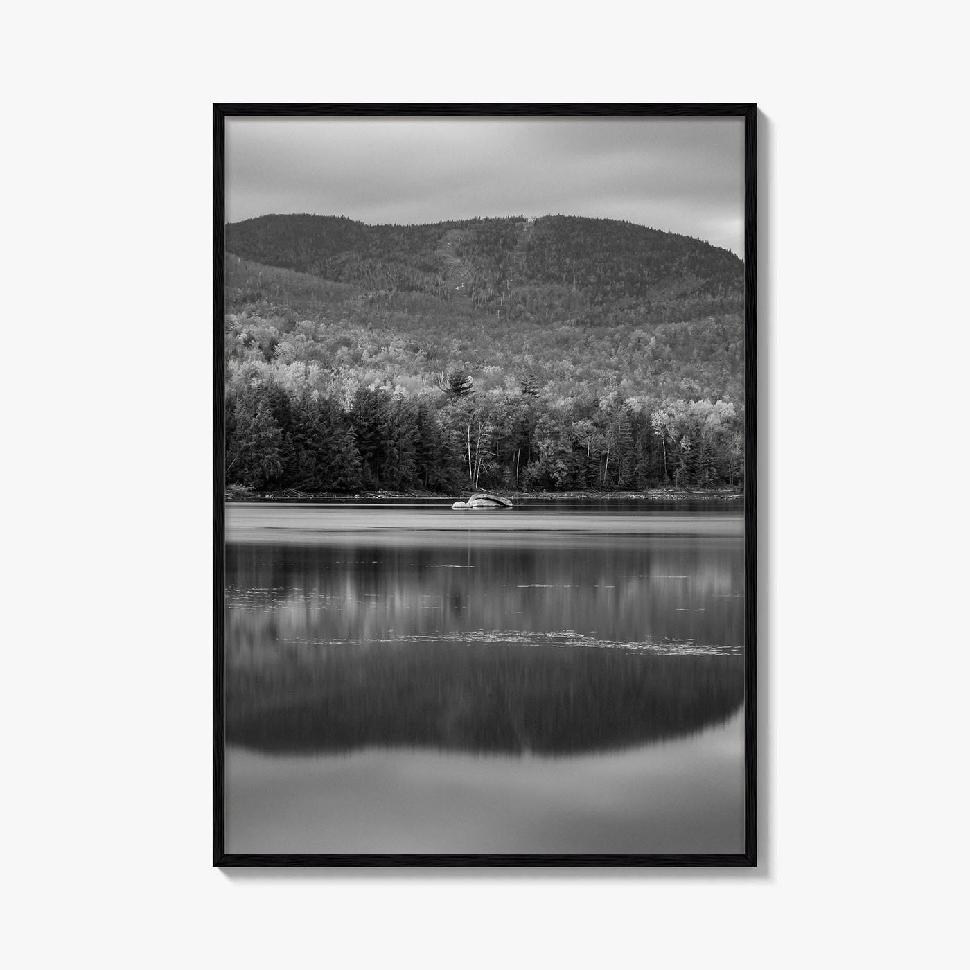 Loon Lake Black and White Fine Art Photo Print, Adirondack Mountains Poster