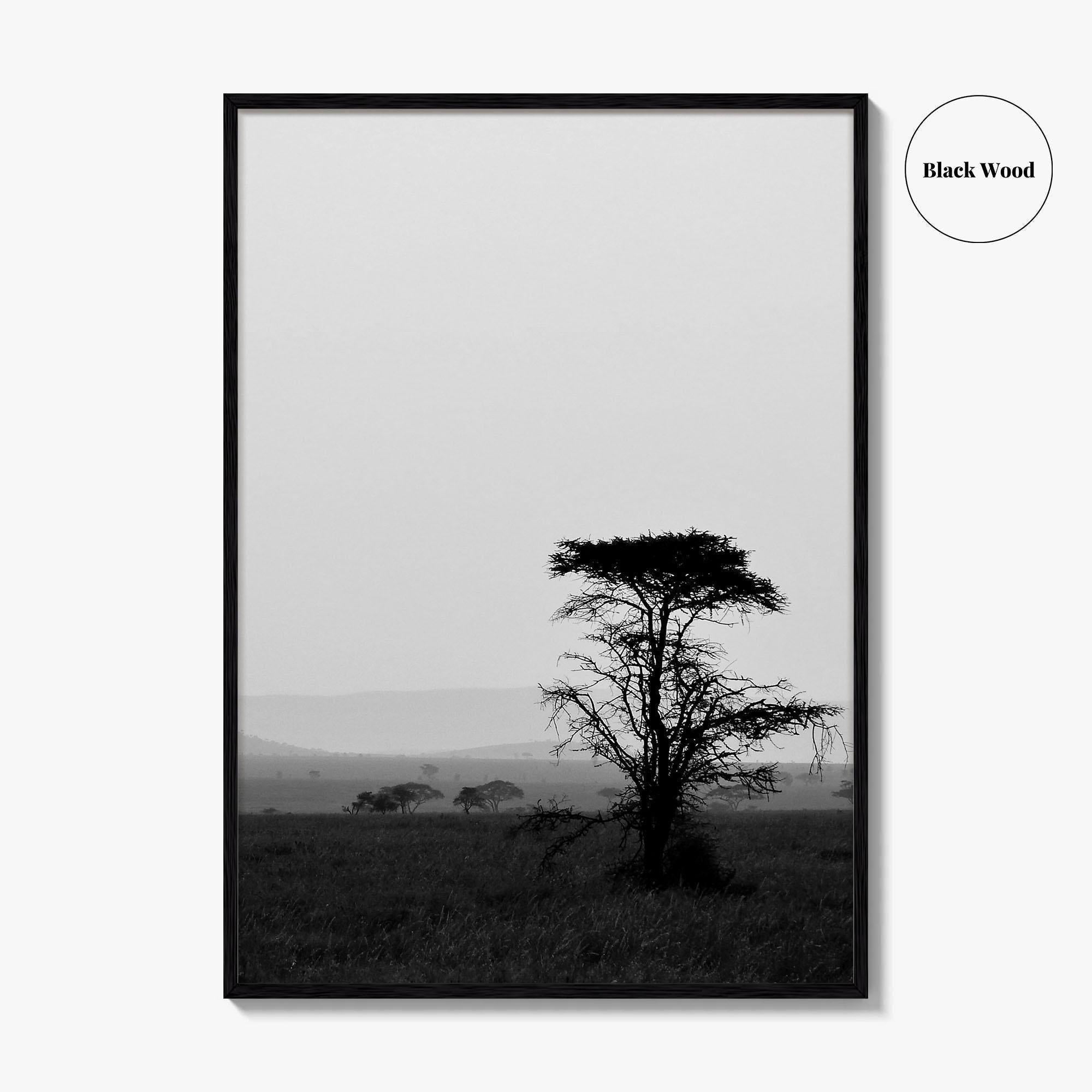 Serengeti Black and White Fine Art Photo Print, Tanzania Landscape Poster