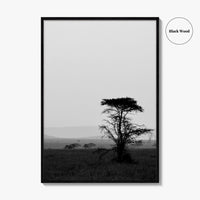 Serengeti Black and White Fine Art Photo Print, Tanzania Landscape Poster