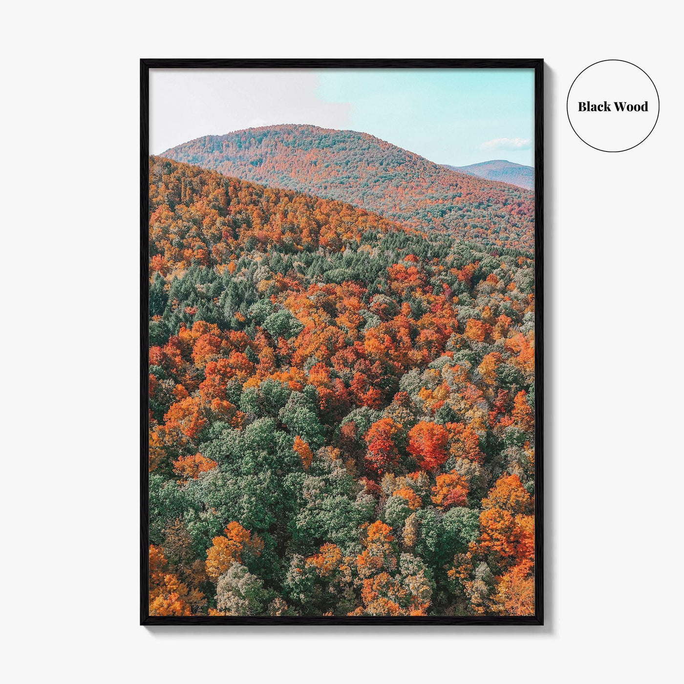 Catskill Mountains Fine Art Photo Print, Fall Foliage, Five State Lookout, New York