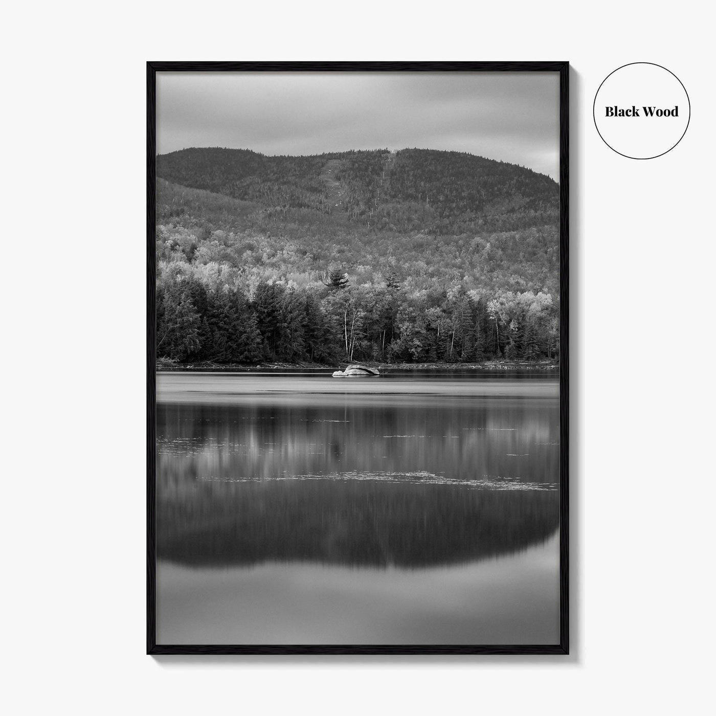 Loon Lake Black and White Fine Art Photo Print, Adirondack Mountains Poster