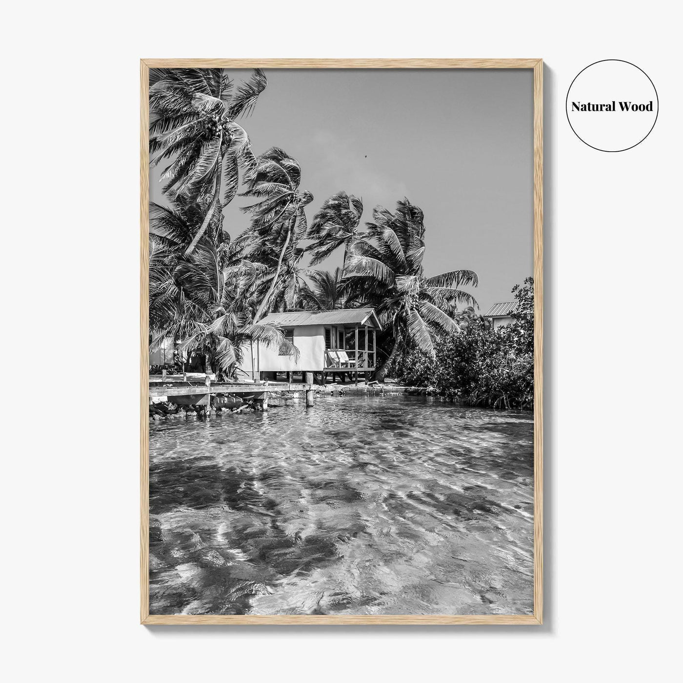 Tobacco Caye Black and White Fine Art Photo Print, Belize Barrier Reef, Caribbean, Poster
