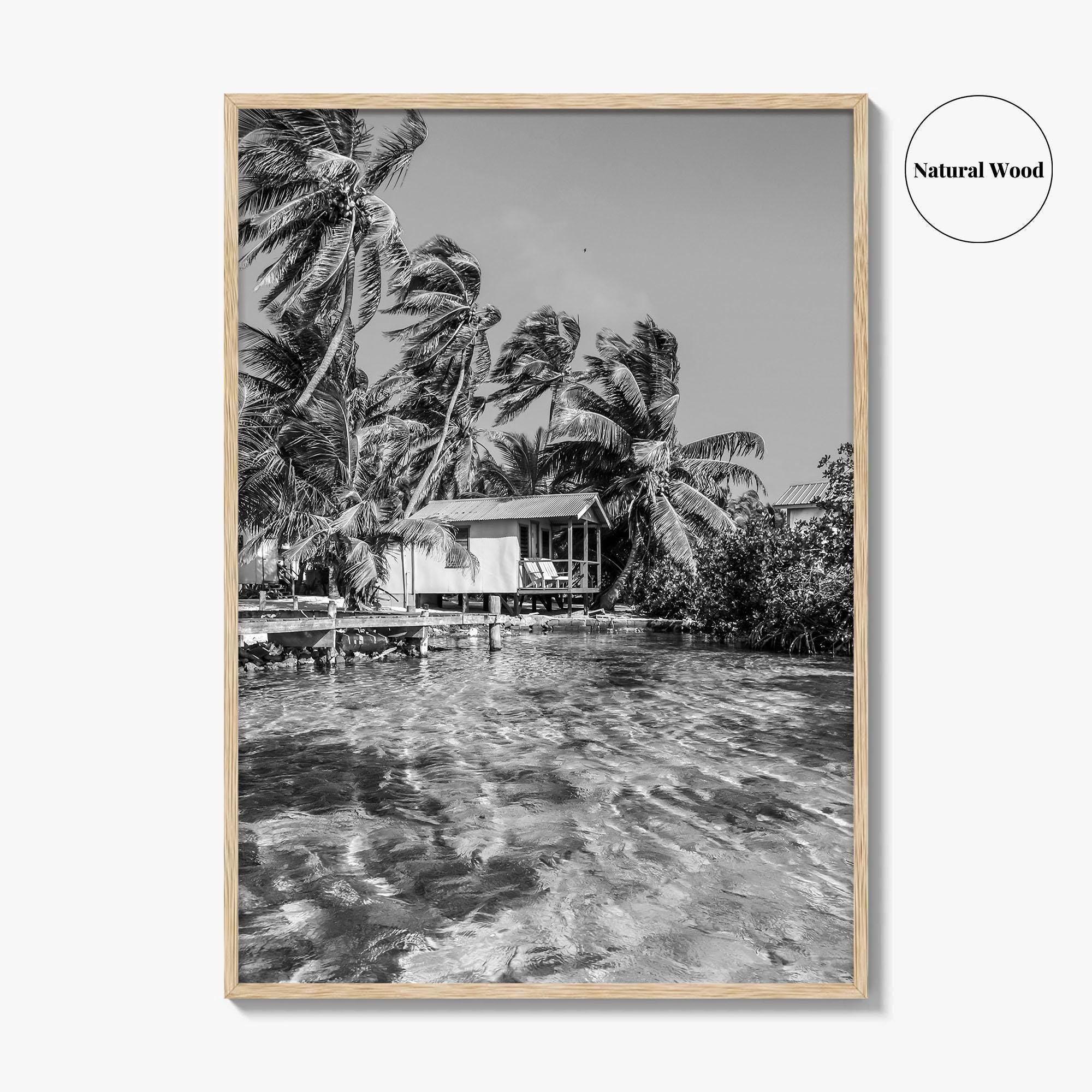 Tobacco Caye Black and White Fine Art Photo Print, Belize Barrier Reef, Caribbean, Poster
