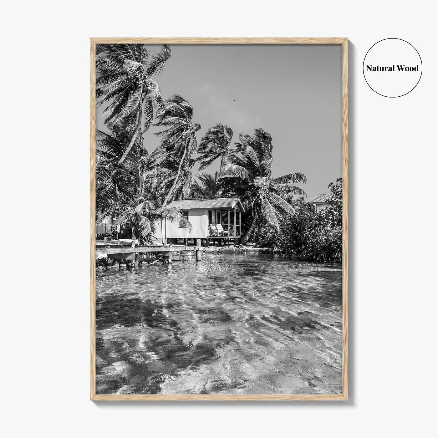 Tobacco Caye Black and White Fine Art Photo Print, Belize Barrier Reef, Caribbean, Poster