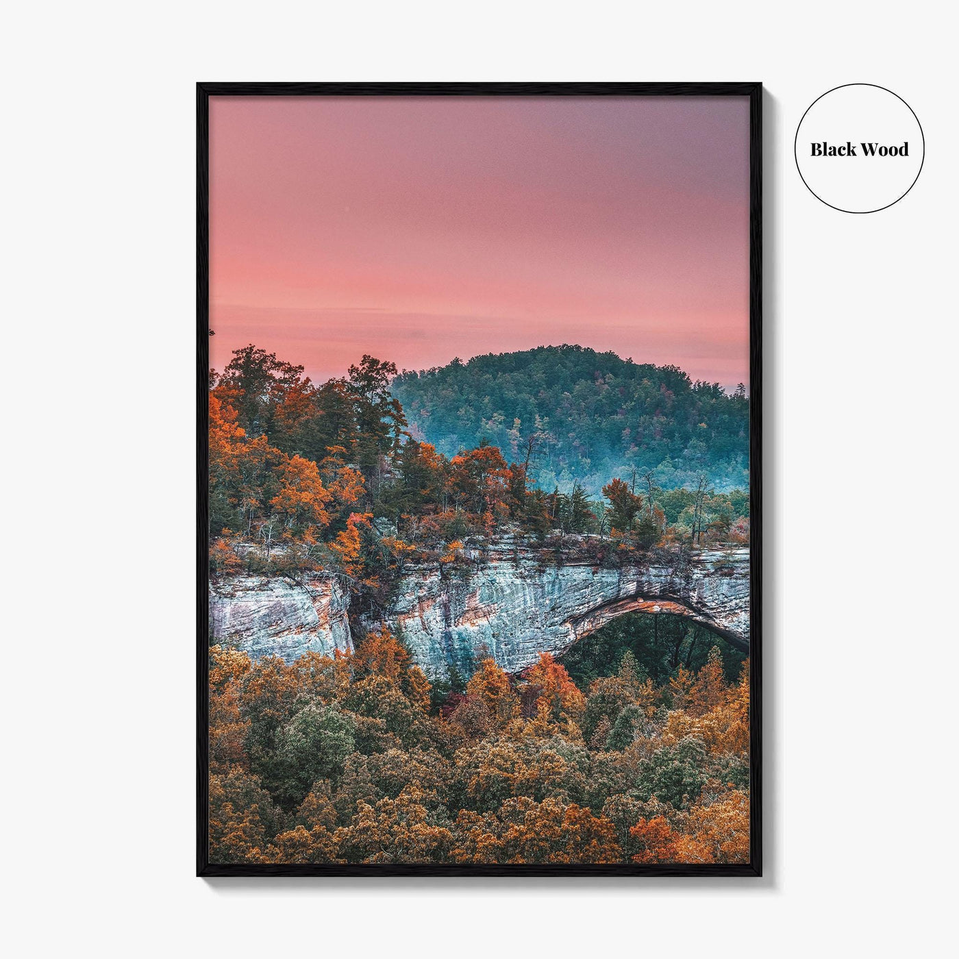 Daniel Boone National Forest Fine Art Photo Print, Natural Arch, Kentucky USA Poster