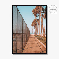 Los Angeles Fine Art Photo Print, Venice Beach, California, Palm Trees Photo Poster