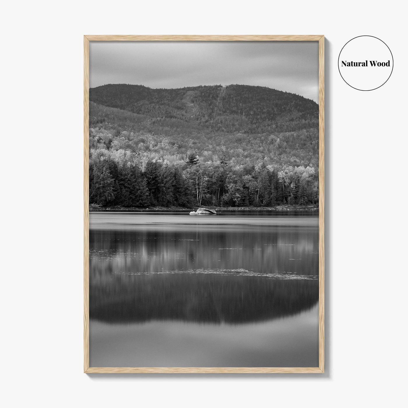 Loon Lake Black and White Fine Art Photo Print, Adirondack Mountains Poster