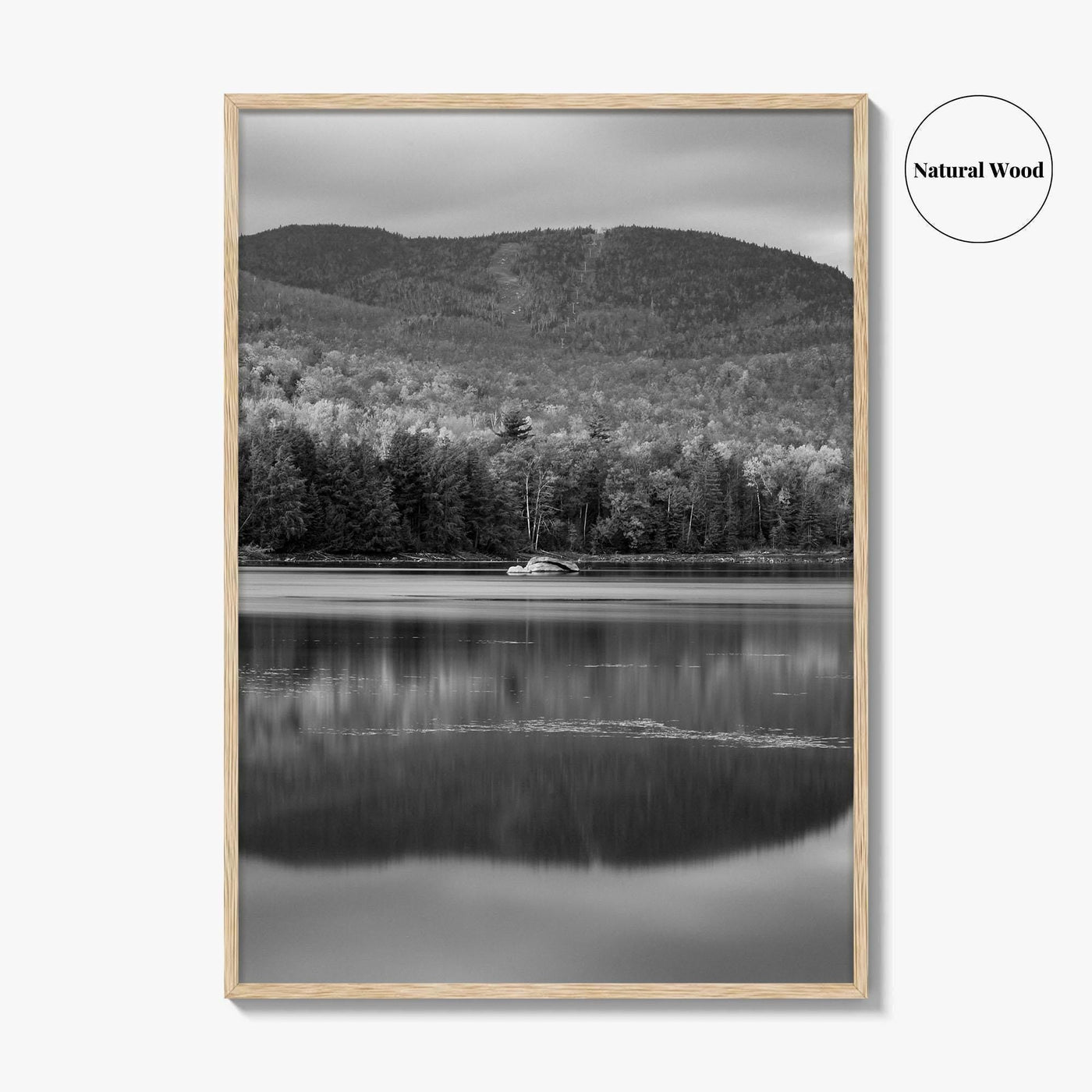 Loon Lake Black and White Fine Art Photo Print, Adirondack Mountains Poster