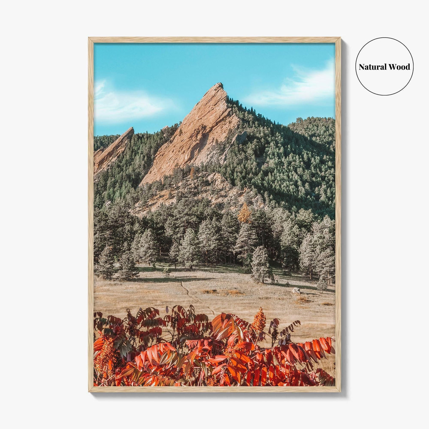 Boulder Fine Art Photo Print, Flatirons Colorado, Rocky Mountains, Autumn Foliage Poster