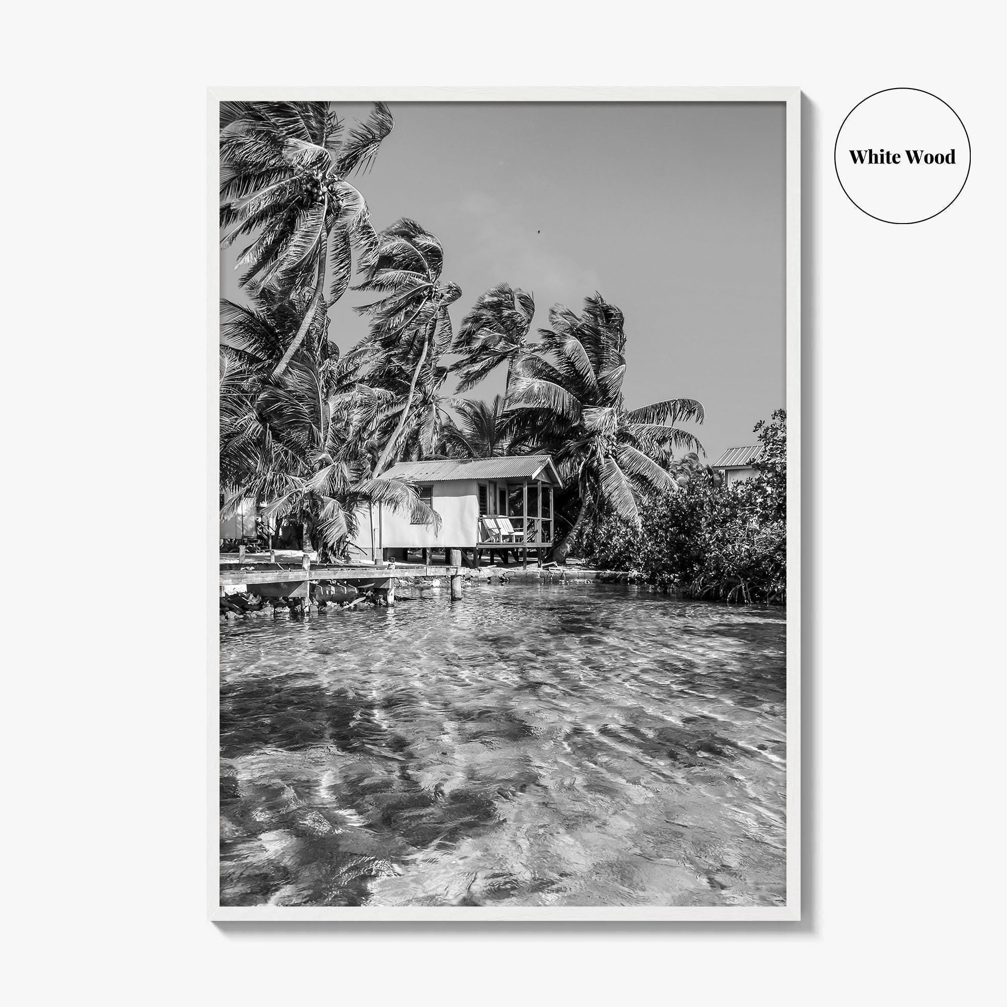 Tobacco Caye Black and White Fine Art Photo Print, Belize Barrier Reef, Caribbean, Poster