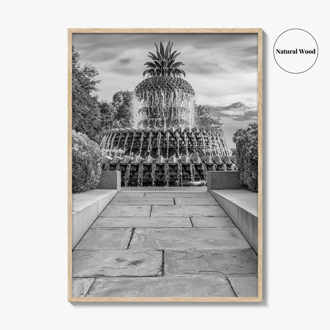 Charleston Black and White Fine Art Photo Print, Pineapple Fountain, South Carolina Poster