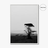 Serengeti Black and White Fine Art Photo Print, Tanzania Landscape Poster