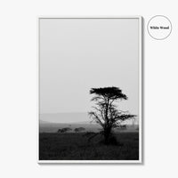Serengeti Black and White Fine Art Photo Print, Tanzania Landscape Poster
