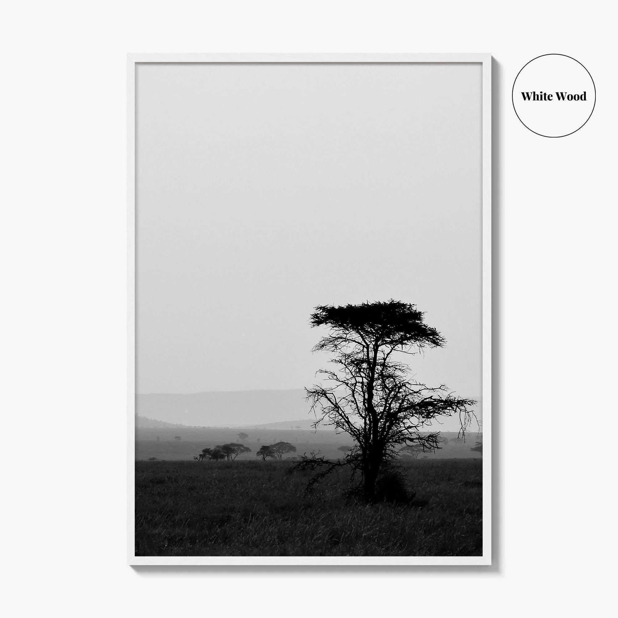 Serengeti Black and White Fine Art Photo Print, Tanzania Landscape Poster