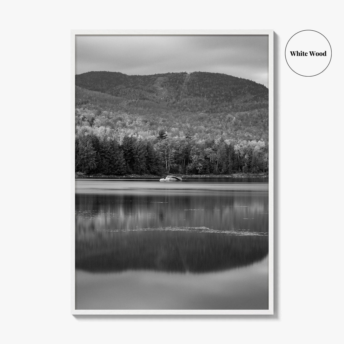 Loon Lake Black and White Fine Art Photo Print, Adirondack Mountains Poster