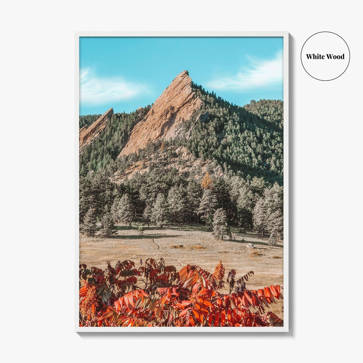 Boulder Fine Art Photo Print, Flatirons Colorado, Rocky Mountains, Autumn Foliage Poster