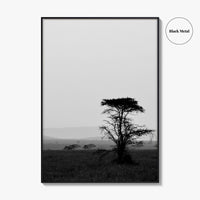 Serengeti Black and White Fine Art Photo Print, Tanzania Landscape Poster