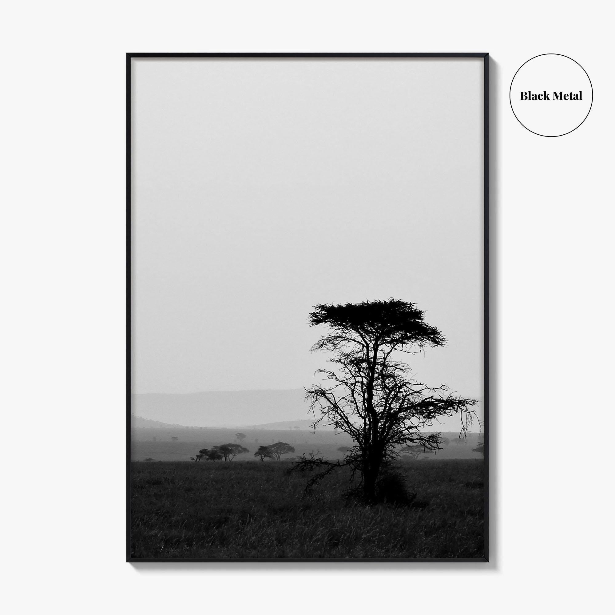 Serengeti Black and White Fine Art Photo Print, Tanzania Landscape Poster