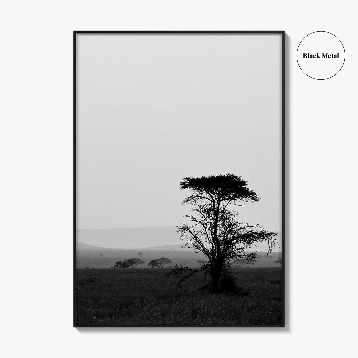 Serengeti Black and White Fine Art Photo Print, Tanzania Landscape Poster