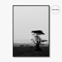 Serengeti Black and White Fine Art Photo Print, Tanzania Landscape Poster