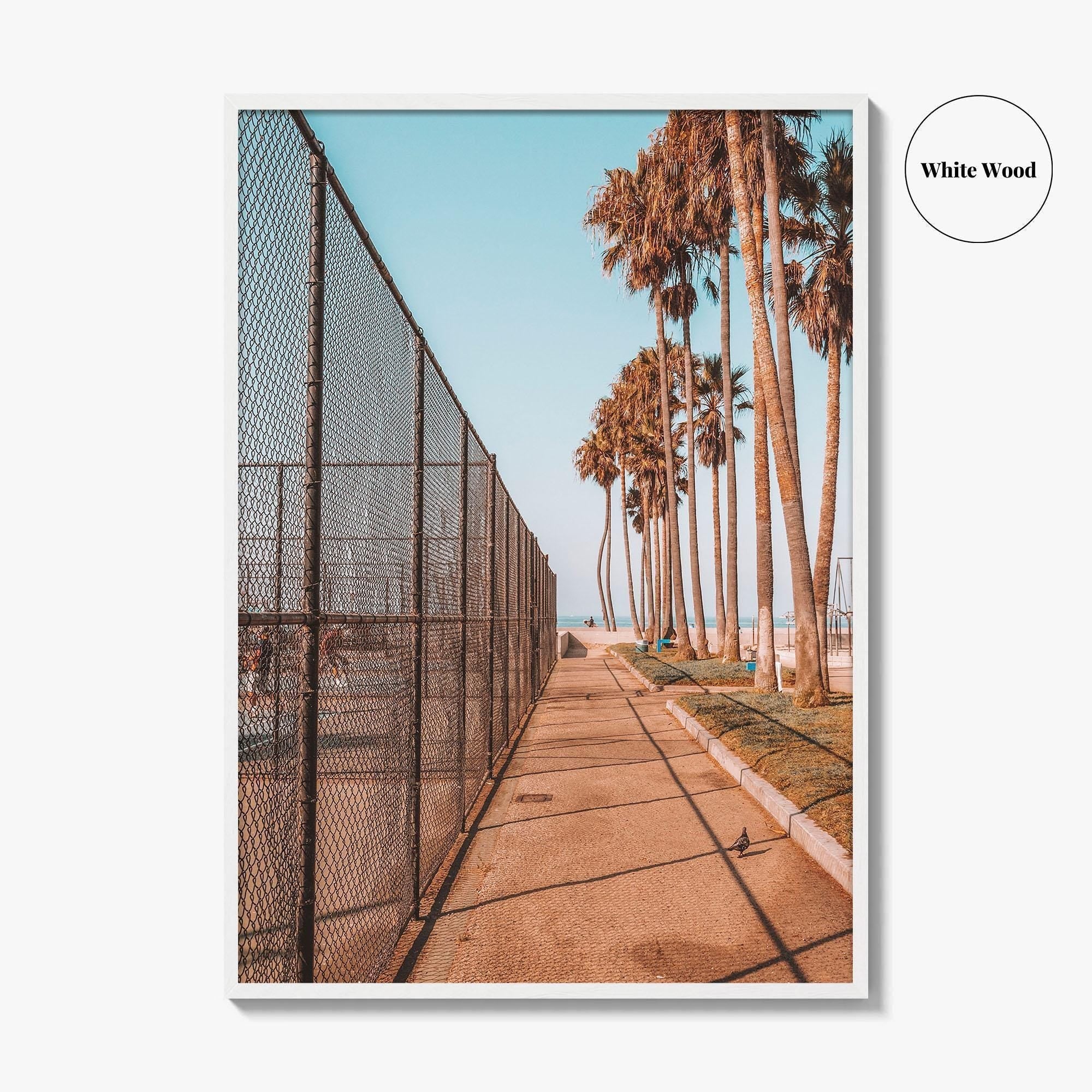 Los Angeles Fine Art Photo Print, Venice Beach, California, Palm Trees Photo Poster