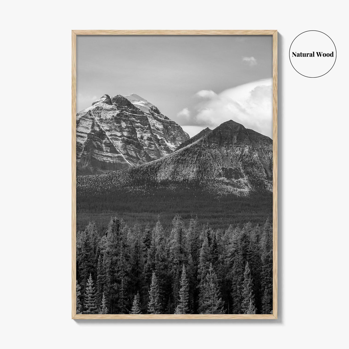 Lake Louise Black White Fine Art Photo Print, Banff National Park Poster