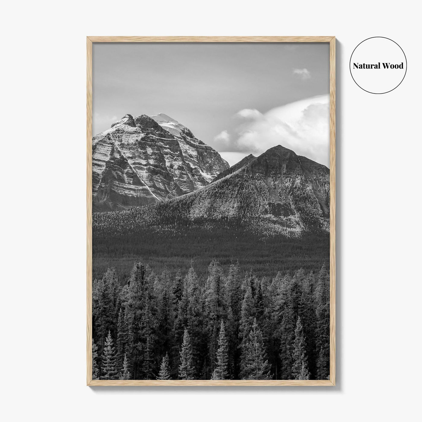 Lake Louise Black White Fine Art Photo Print, Banff National Park Poster