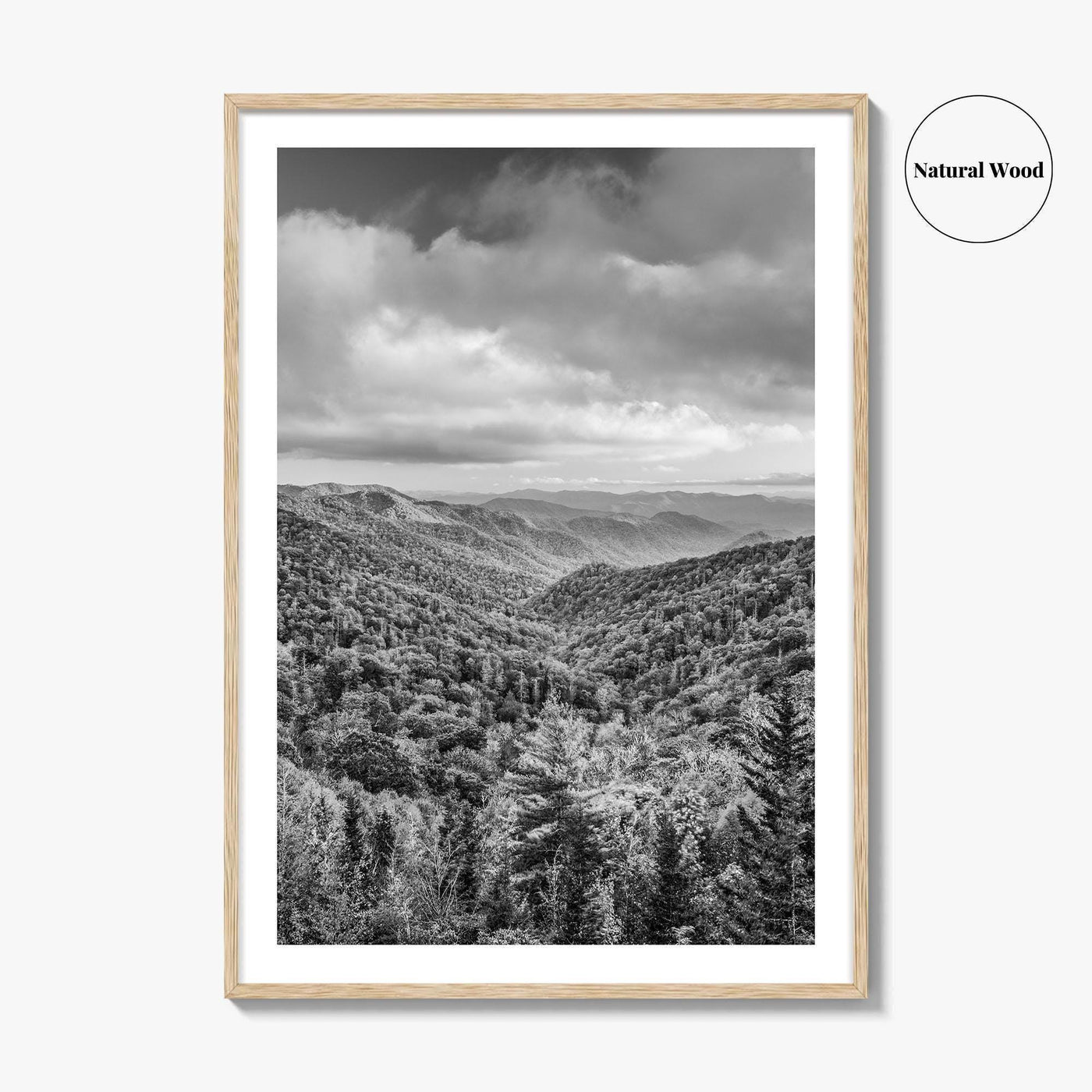 Great Smoky Mountains Black and White Fine Art Photo Print, Tennessee Poster