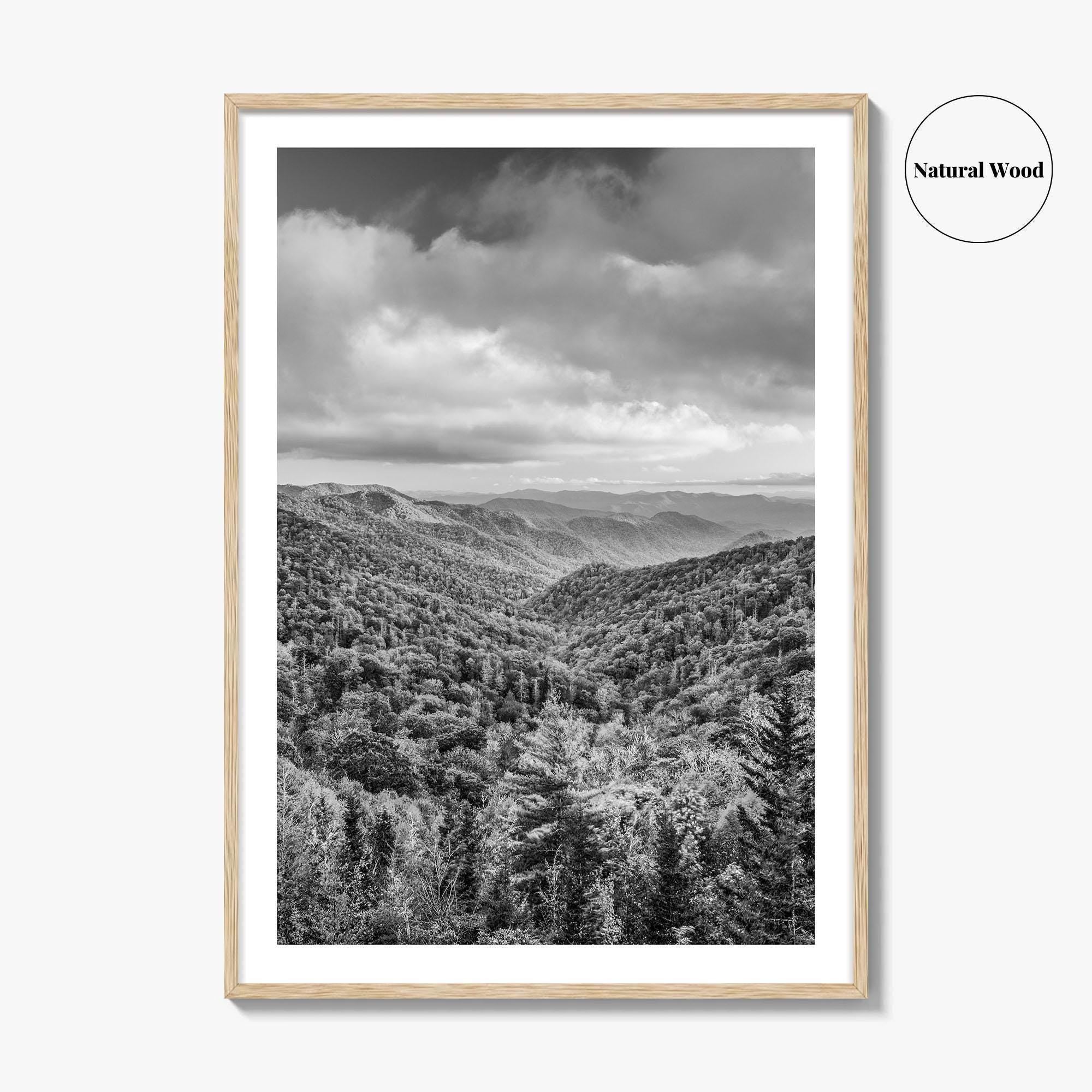 Great Smoky Mountains Black and White Fine Art Photo Print, Tennessee Poster