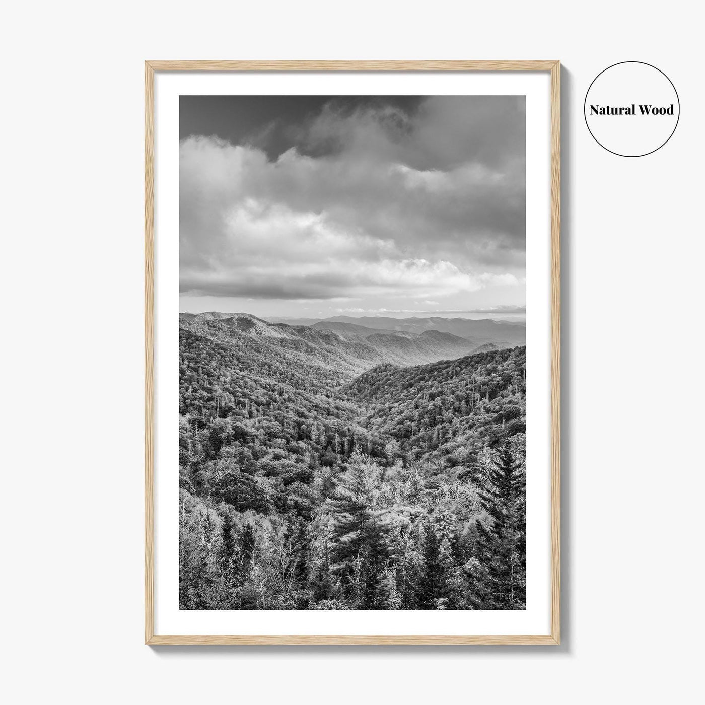 Great Smoky Mountains Black and White Fine Art Photo Print, Tennessee Poster