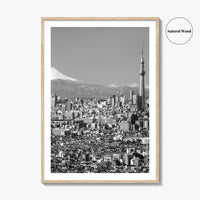 Tokyo Skyline Black and White Fine Art Photo Print, Mt Fuji Skytree Japan Poster