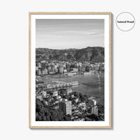 Wellington Skyline Black and White Fine Art Photo Print, Mount Victoria, New Zealand Poster