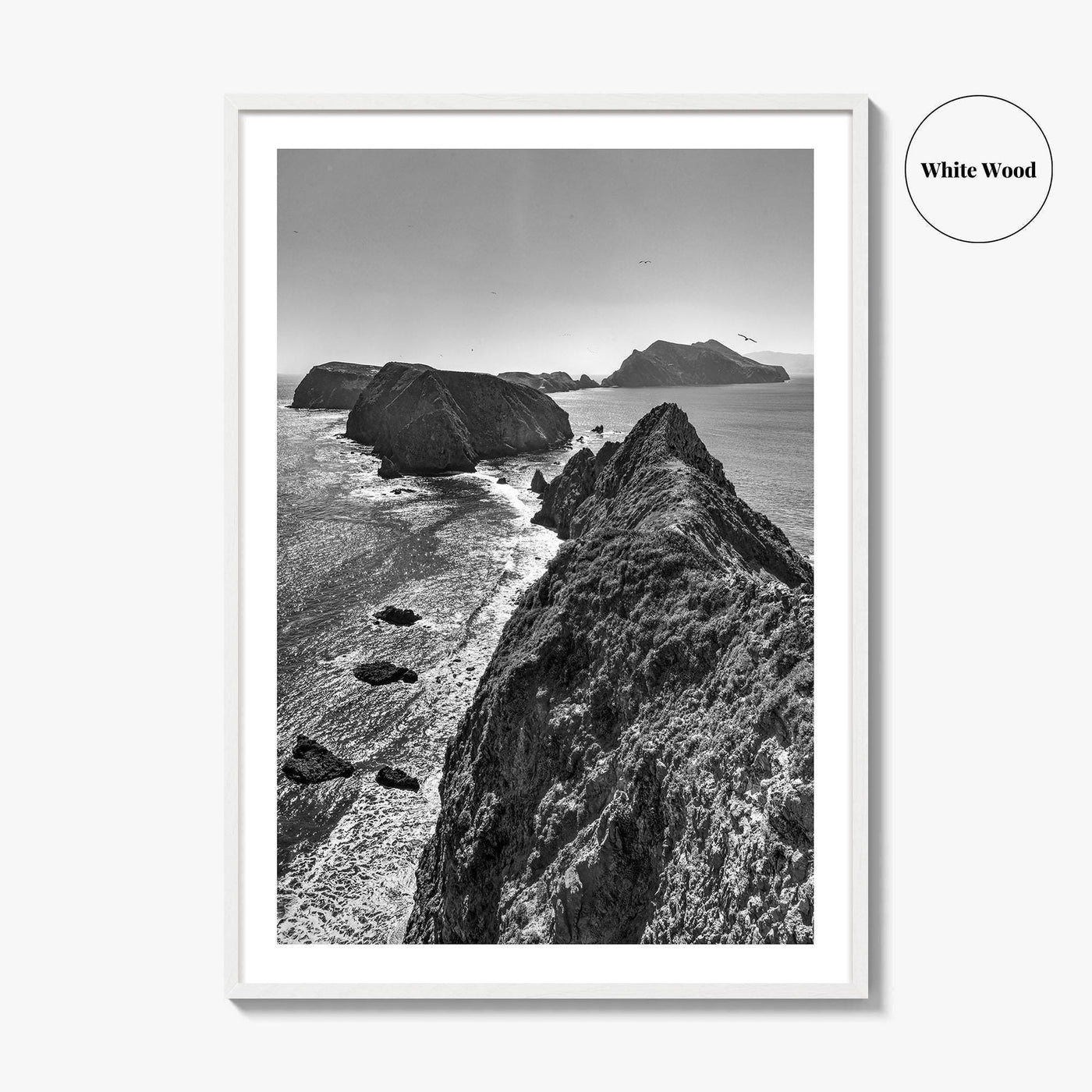 Anacapa Island Black and White Fine Art Photo Print, Channel Islands Poster, California Poster