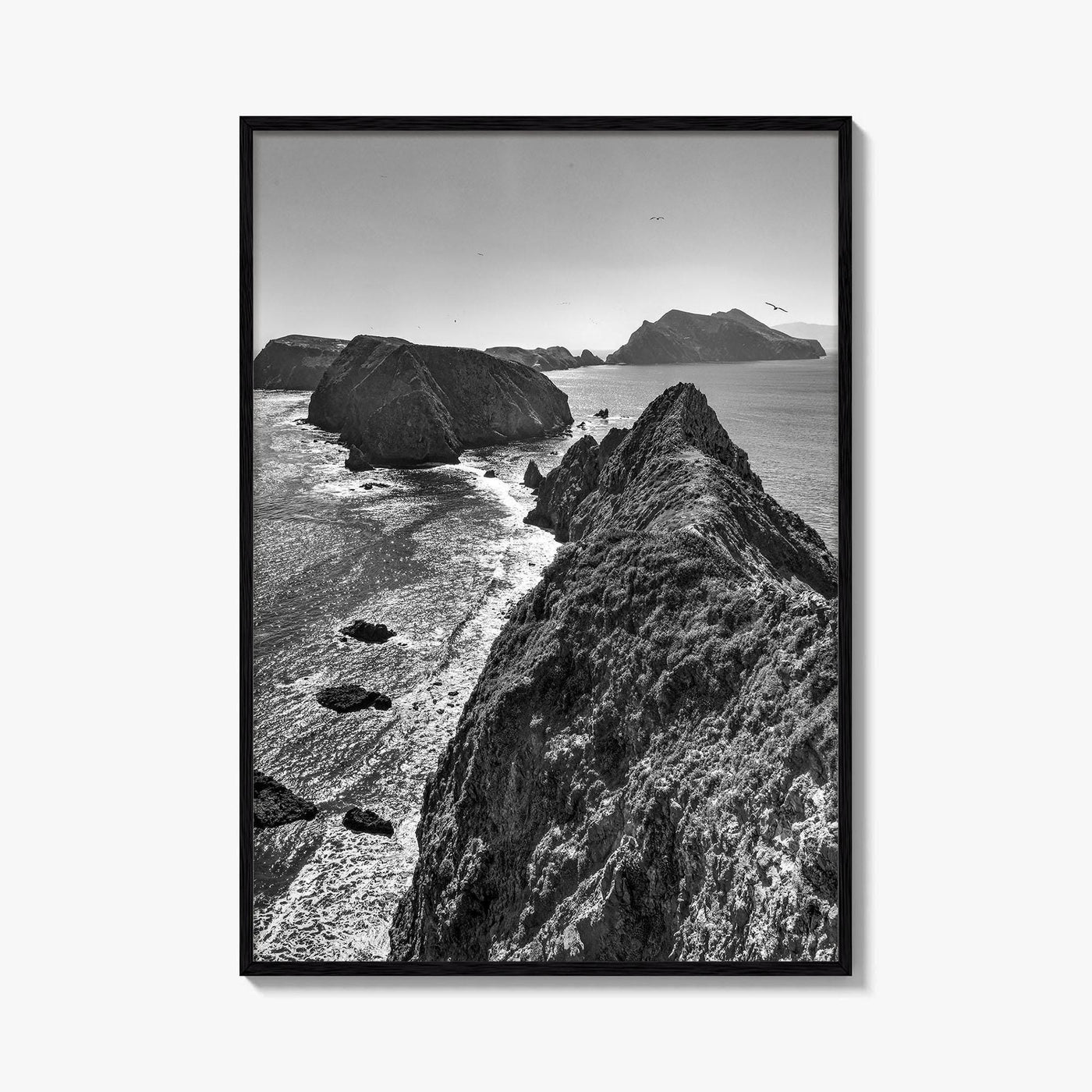 Anacapa Island Black and White Fine Art Photo Print, Channel Islands Poster, California Poster