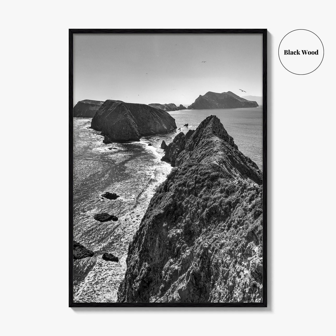 Anacapa Island Black and White Fine Art Photo Print, Channel Islands Poster, California Poster