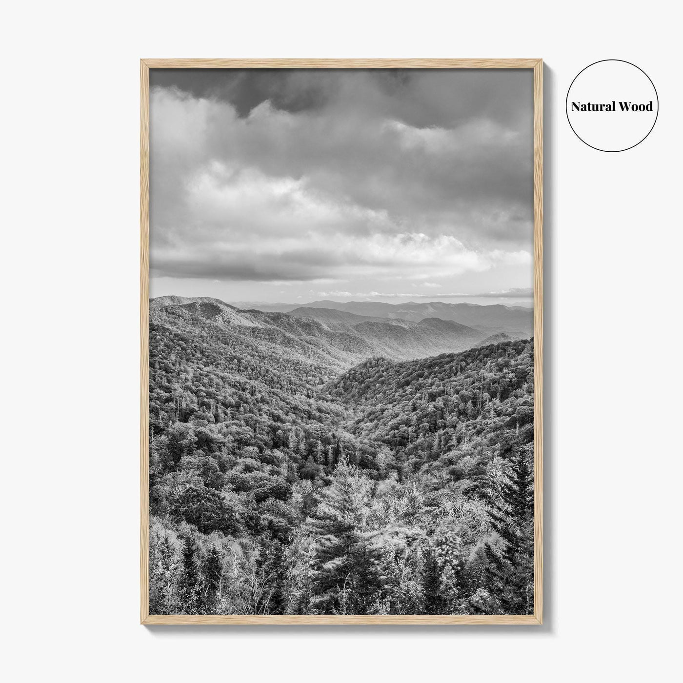 Great Smoky Mountains Black and White Fine Art Photo Print, Tennessee Poster