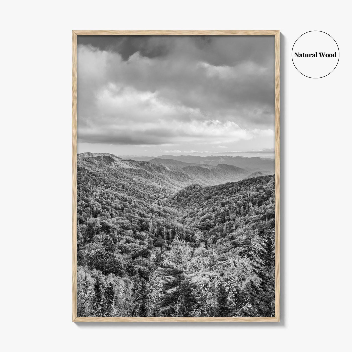 Great Smoky Mountains Black and White Fine Art Photo Print, Tennessee Poster
