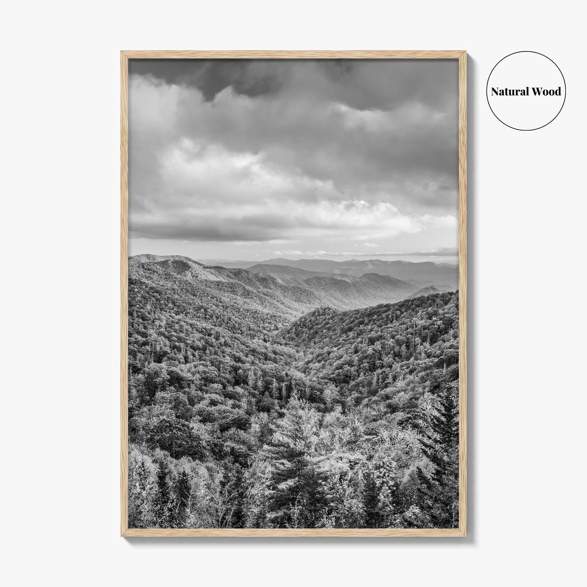 Great Smoky Mountains Black and White Fine Art Photo Print, Tennessee Poster