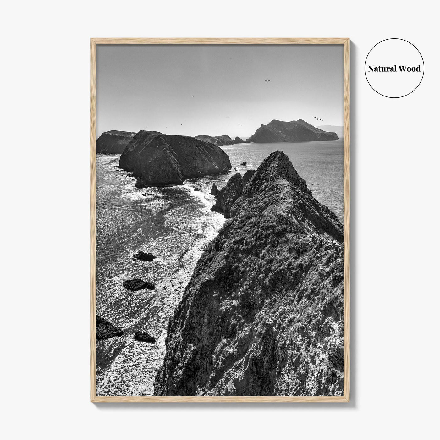 Anacapa Island Black and White Fine Art Photo Print, Channel Islands Poster, California Poster