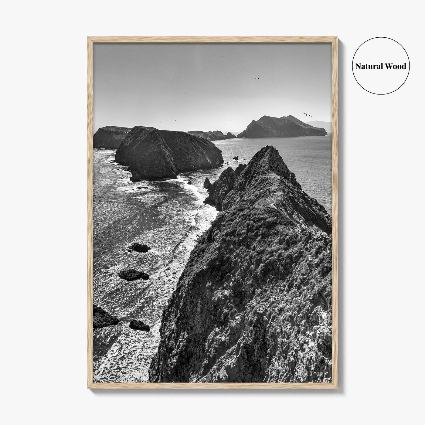 Anacapa Island Black and White Fine Art Photo Print, Channel Islands Poster, California Poster