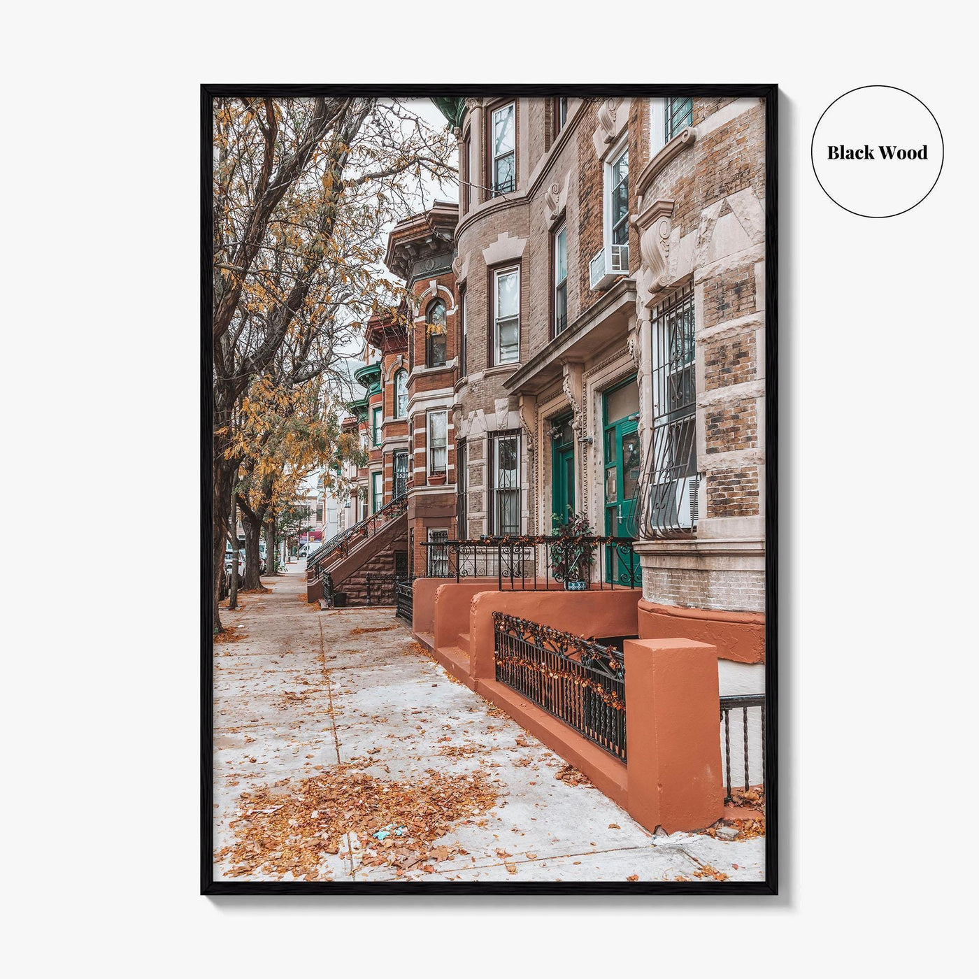 The Bronx Fine Art Photo Print, New York City NYC, Brownstone Houses Poster