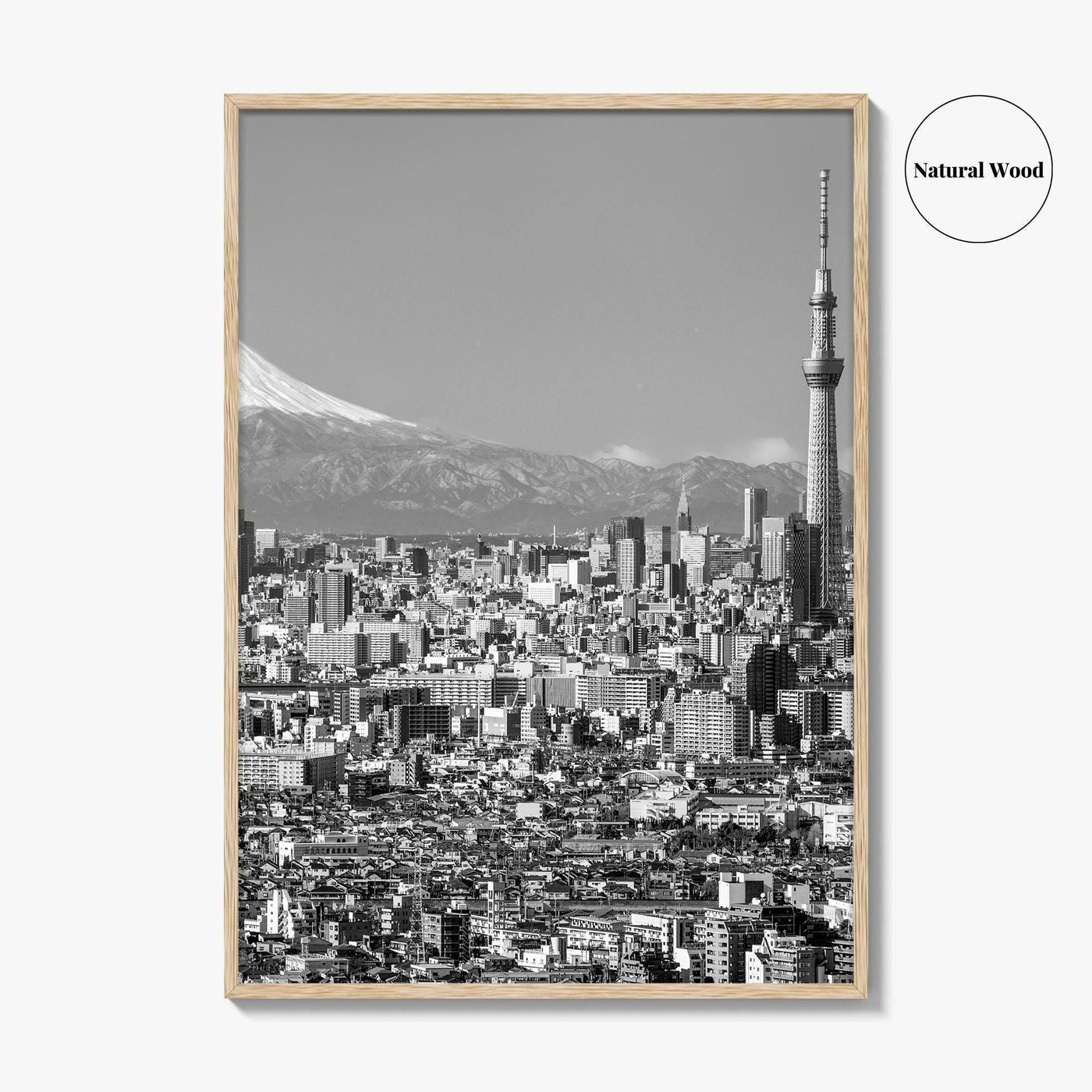 Tokyo Skyline Black and White Fine Art Photo Print, Mt Fuji Skytree Japan Poster