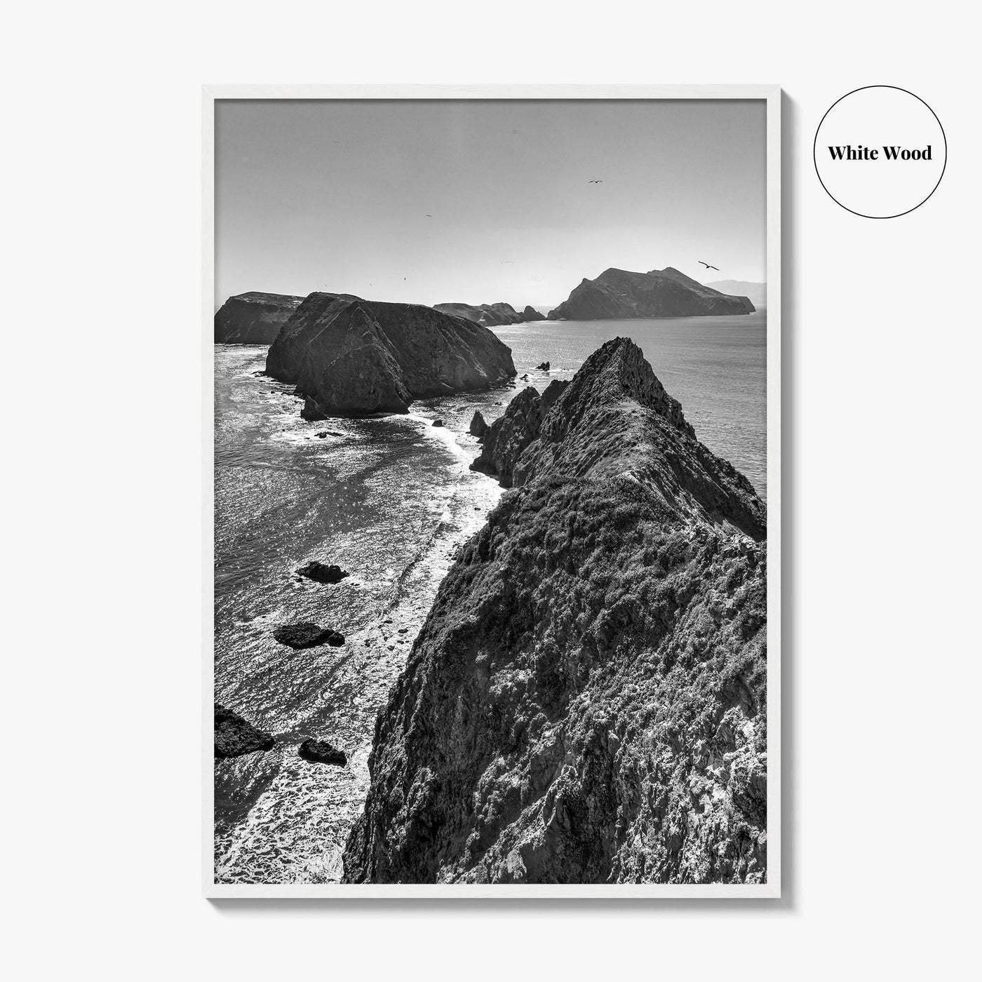 Anacapa Island Black and White Fine Art Photo Print, Channel Islands Poster, California Poster