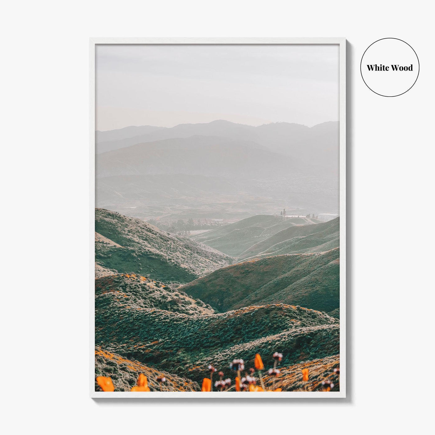 Walker Canyon Fine Art Photo Print, Lake Elsinore California Poster USA