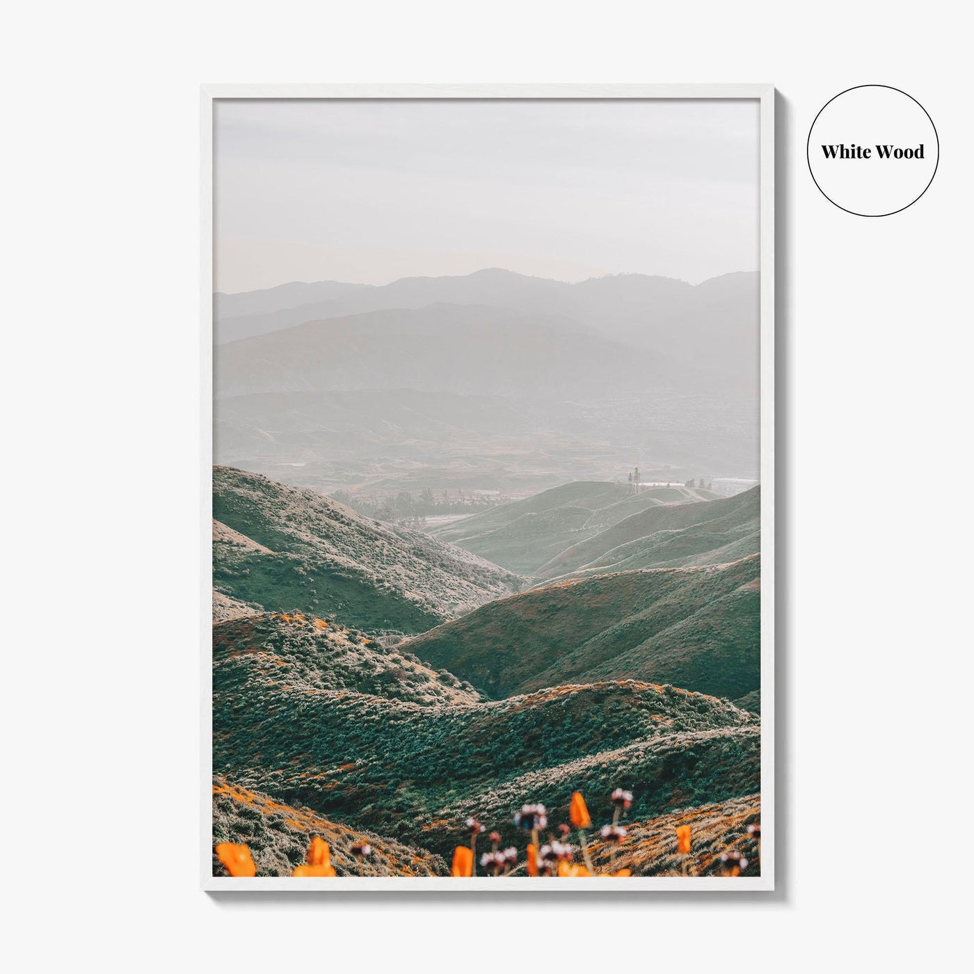 Walker Canyon Fine Art Photo Print, Lake Elsinore California Poster USA
