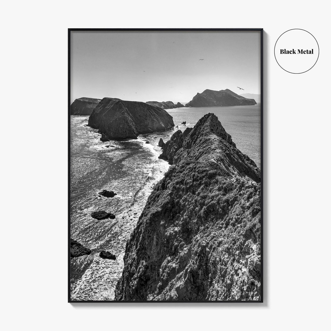 Anacapa Island Black and White Fine Art Photo Print, Channel Islands Poster, California Poster