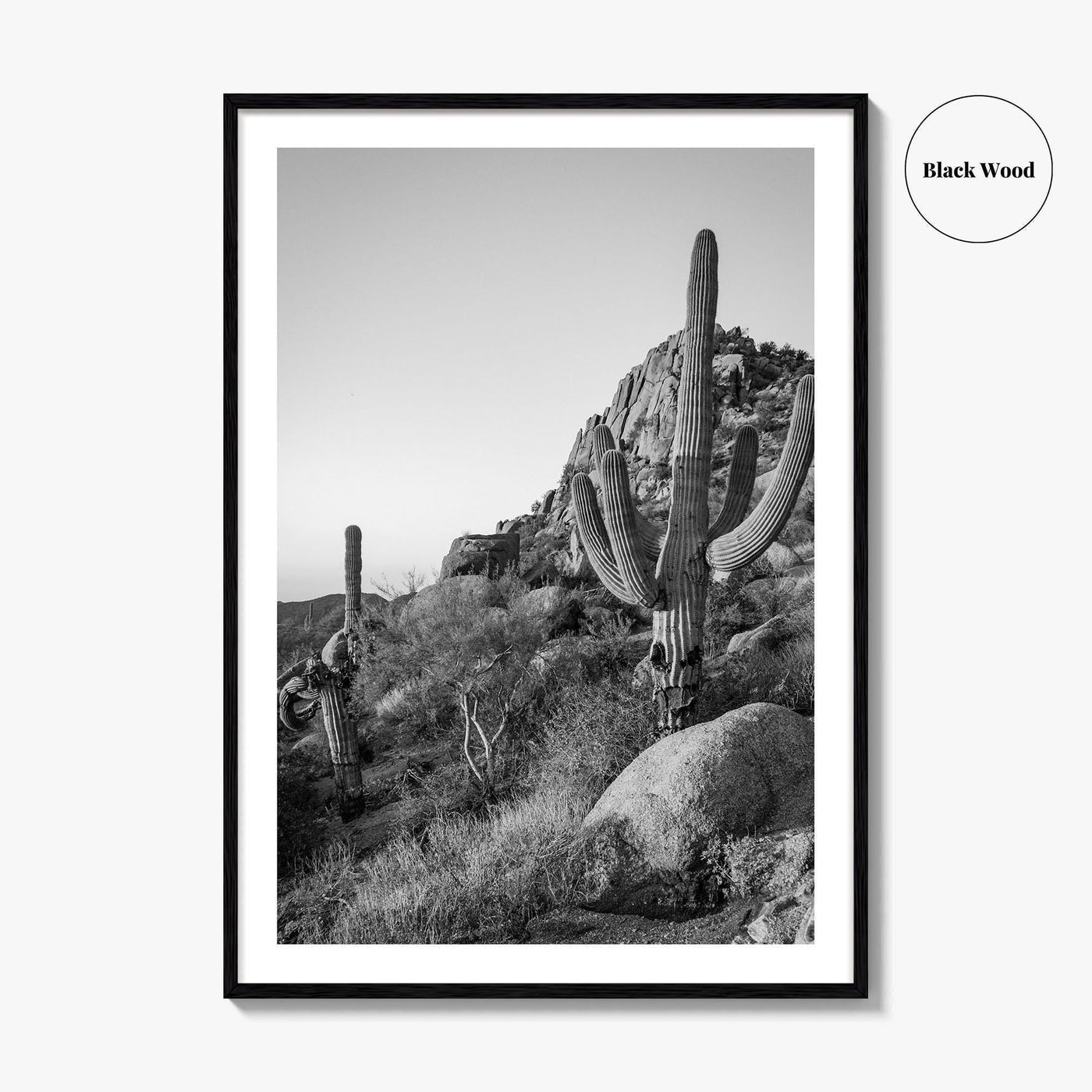 Scottsdale Black and White Fine Art Photo Print, Pinnacle Peak Arizona Poster