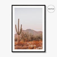 Saguaro National Park Fine Art Photo Print, Tucson Arizona, Sonoran Desert Poster USA
