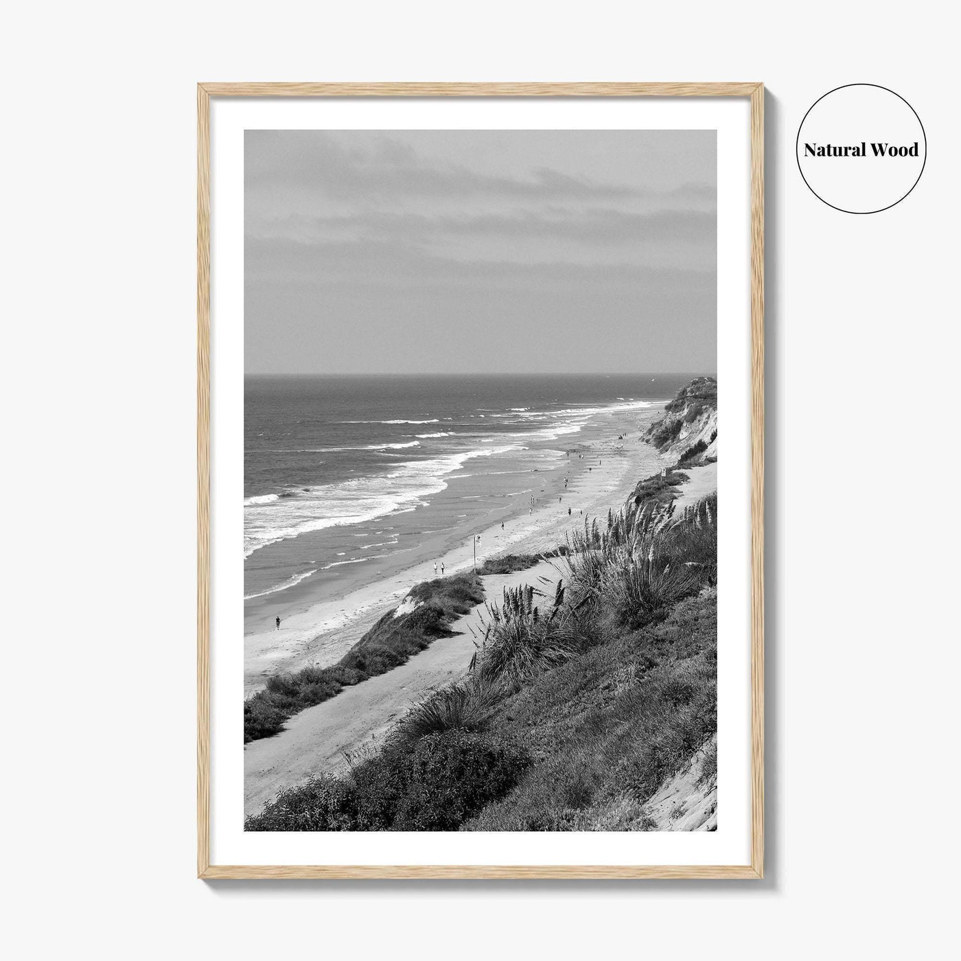 Torrey Pines Black and White Fine Art Photo Print, San Diego Coastline California Poster